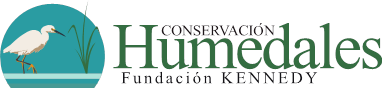 Fundación Kennedy