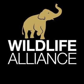 Wildlife Alliance