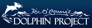 RicO’Barry’s Dolphin Project