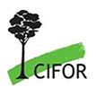 FORESTS NEWS