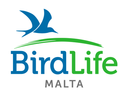 BirdLife