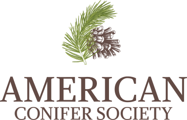 American Conifer Society (ACS)