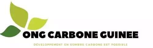 ONG Carbone Guinée