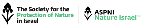 Society for the Protection of Nature in Israel (SPNI)