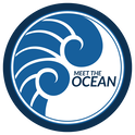 Meet the Ocean