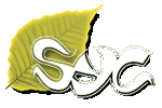 Sierra Youth Coalition