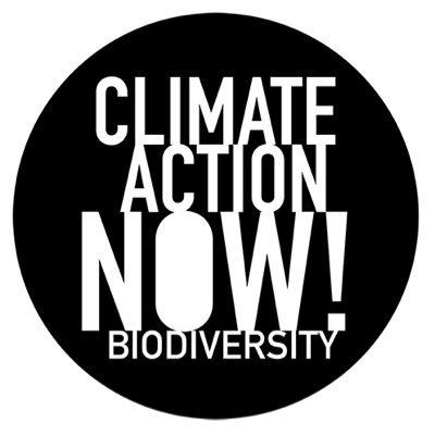 Climate Action NOW