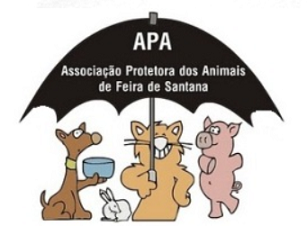 Bazar da APA Avenida