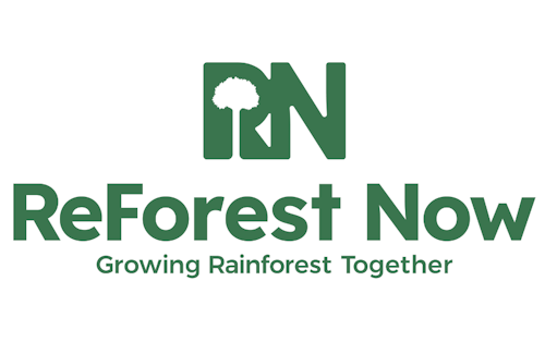 ReForest Now