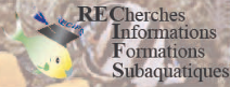 Recherches Informations & Formations Subaquatiques