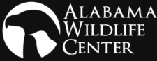 Alabama Wildlife Center