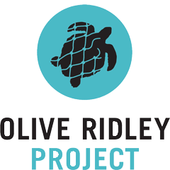 Olive Ridley Project