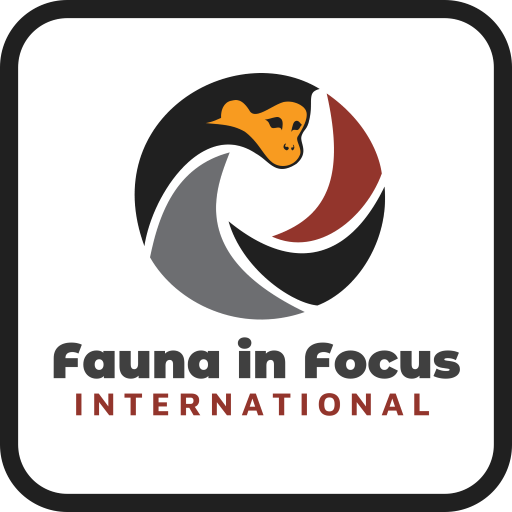 FAUNA IN FOCUS