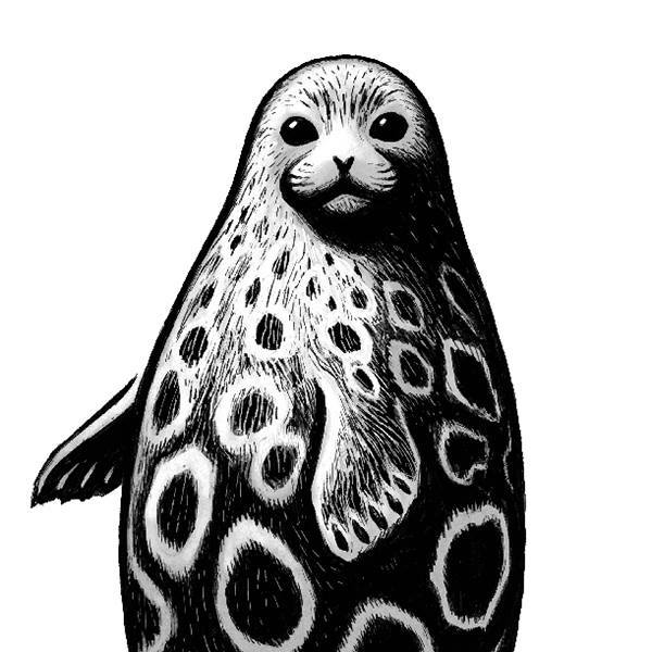 Finnish Association for Nature Conservation