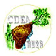 CDEA: Community Development and Environment Association