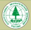 Кедр