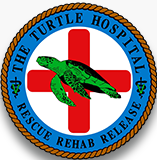 Turtle Hospital