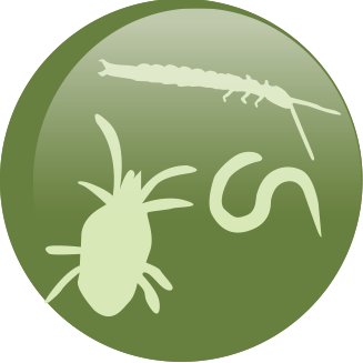 Global Soil Biodiversity Initiative