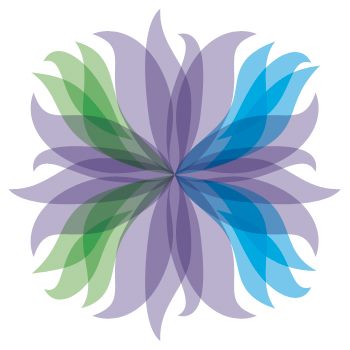 Women's Healthy Environment Network (WHEN)