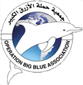 Operation Big Blue Association (OBBA)