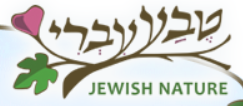 Jewish Nature