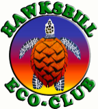Hawksbill Eco-Club