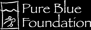 Pure Blue Foundation