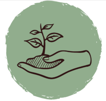 Tampa Bay Reforestation and Environmental Effort