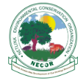 Netlink Environmental Conservation Organisation