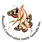 Butterfly Conservation South Australia Incorporated