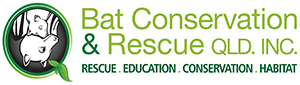 Bat Conservation & Rescue Qld Inc