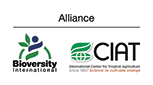 Alliance of Bioversity International and CIAT