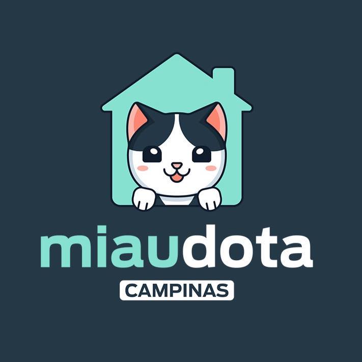 Miaudota Campinas