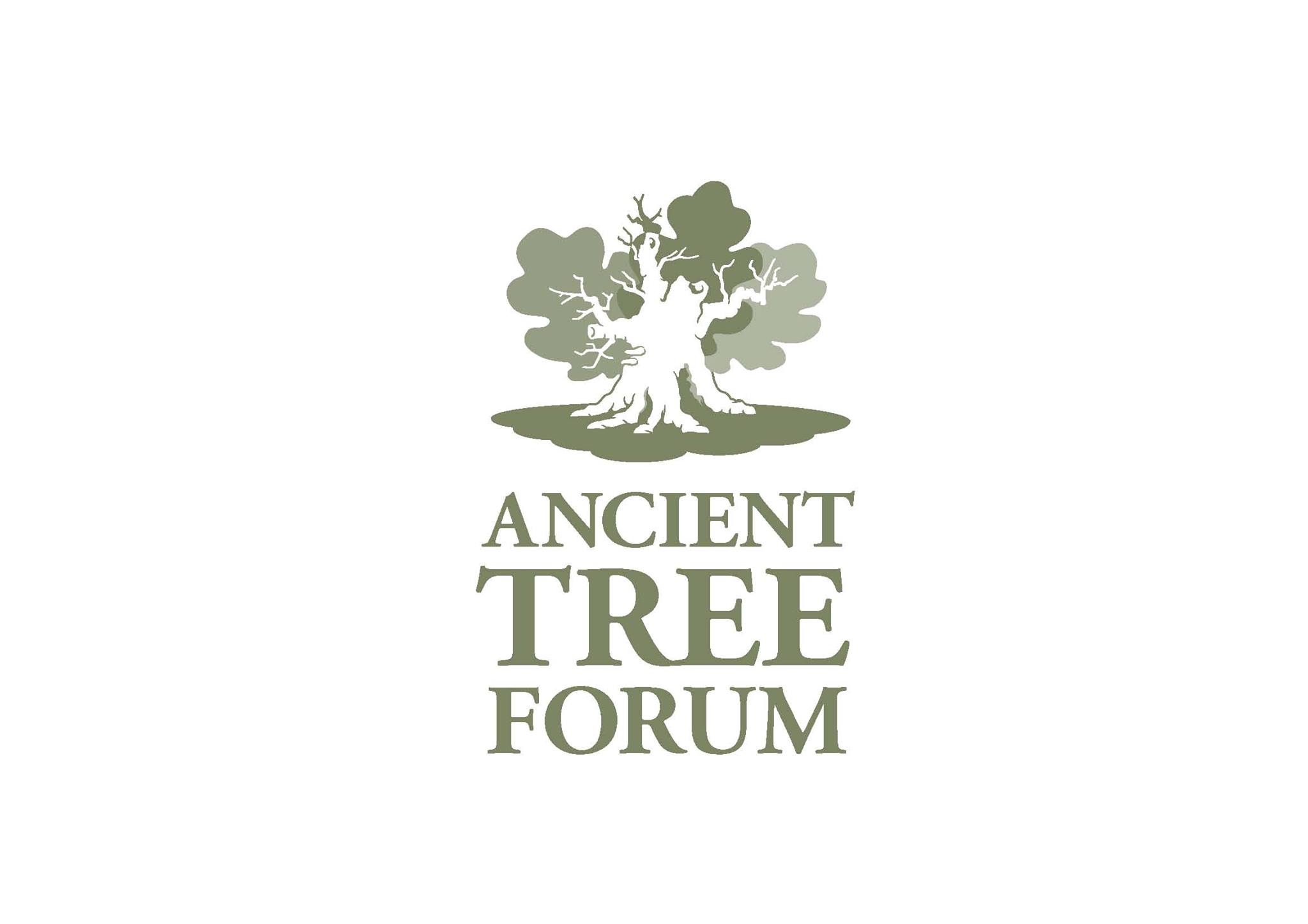 Ancient Tree Forum
