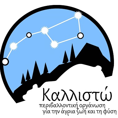 KALLISTO