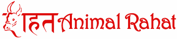 Animal Rahat