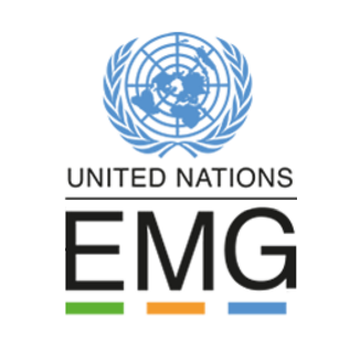 United Nations Environment Management Group