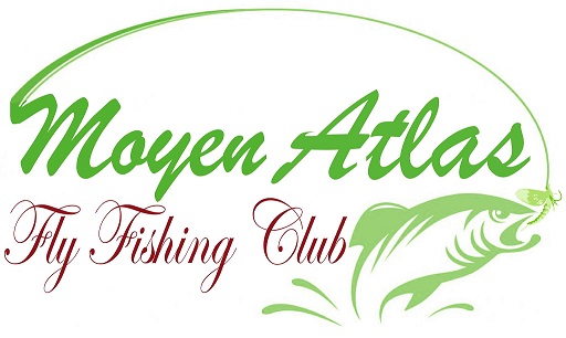 Fly Fishing Club du Moyen Atlas