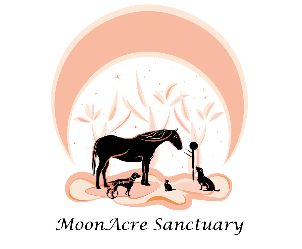MoonAcre Santuary