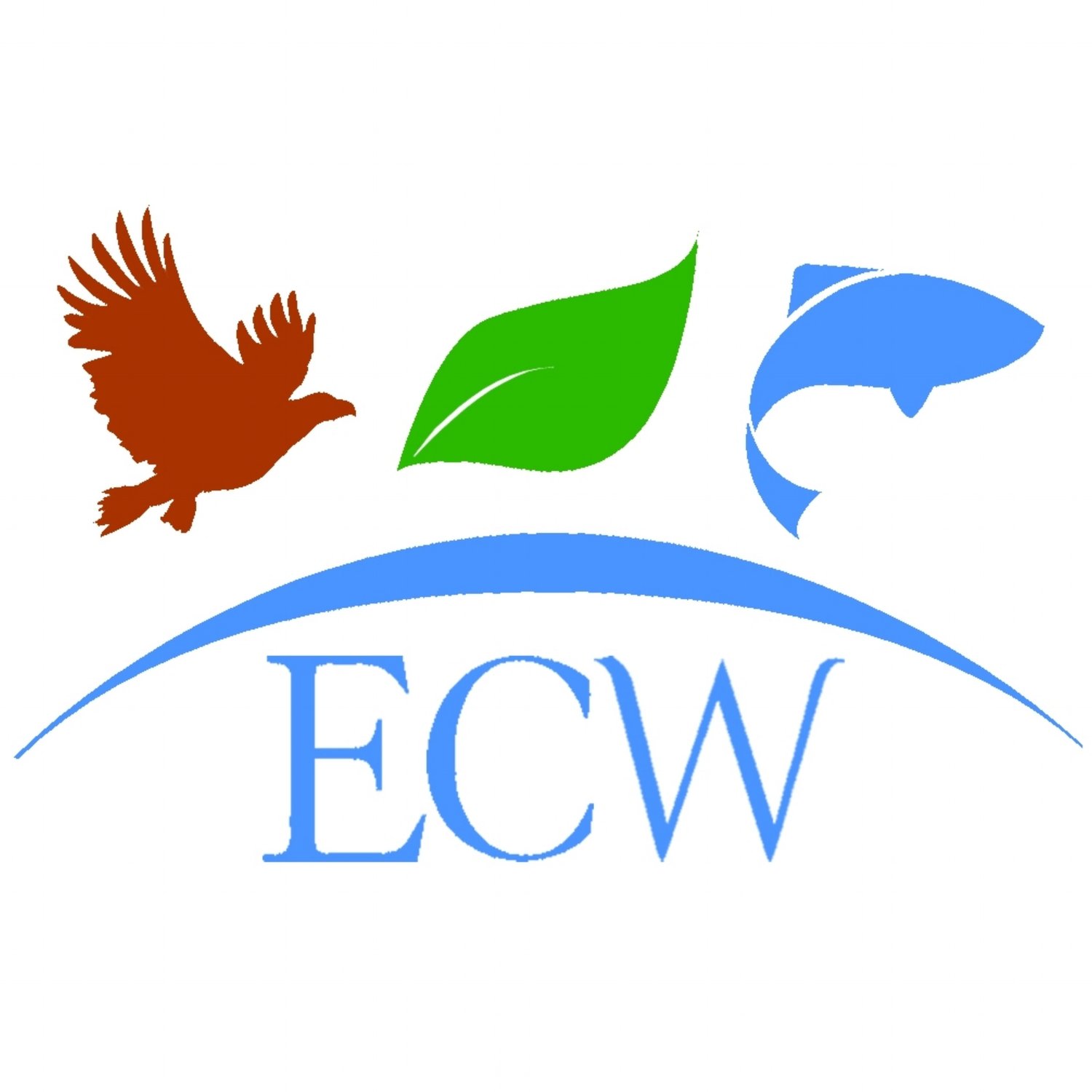 Eastern Charlotte Waterways