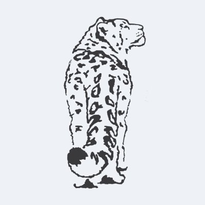 The Snow Leopard Trust