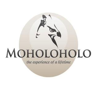 The Moholoholo Wildlife Rehabilitation Centre