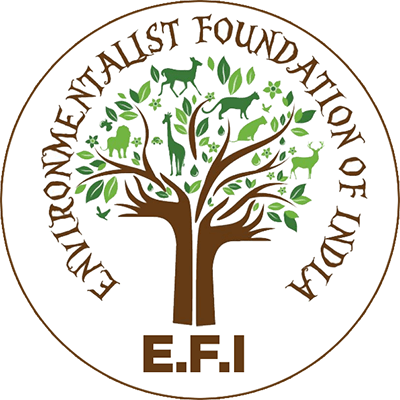 Environmentalist Foundation of India (E.F.I)