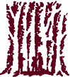 Forest Peoples Programme
