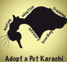 Pet Lovers Society
