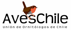 AvesChile / Unión de Ornitólogos de Chile