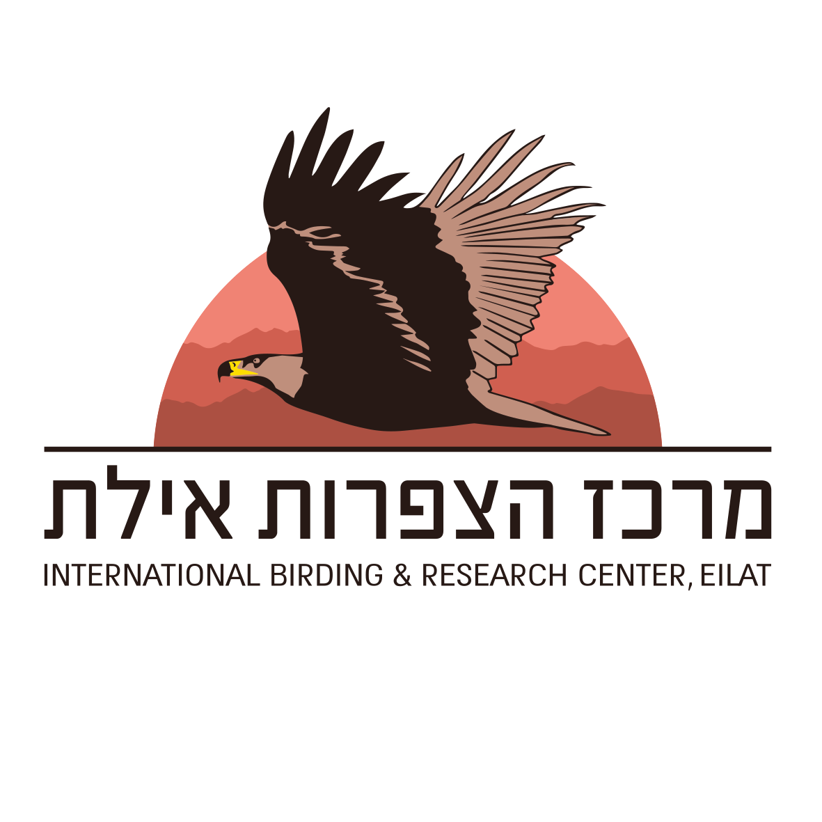 International Birding and Research Center Eilat
