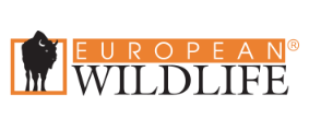European Wildlife