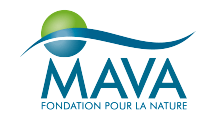 MAVA Foundation