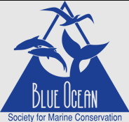 Byrne Ocean Conservation